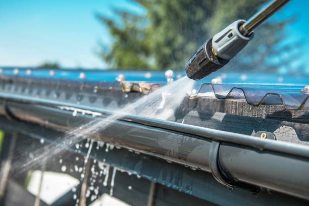 Best Residential Pressure Washing Services  in La Joya, TX