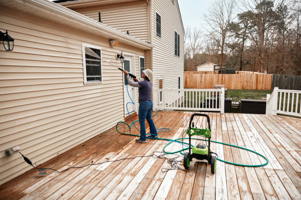 Best Roof Pressure Washing  in La Joya, TX
