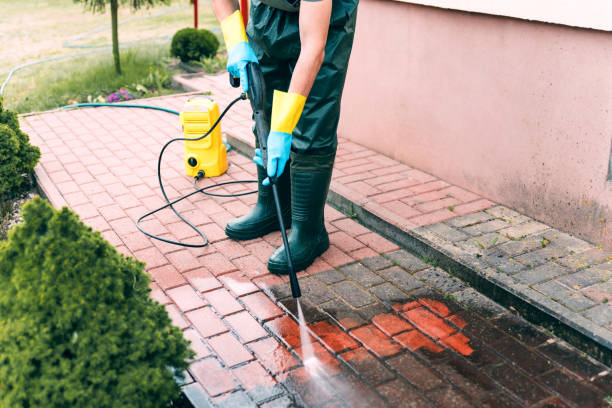 Best House Pressure Washing  in La Joya, TX