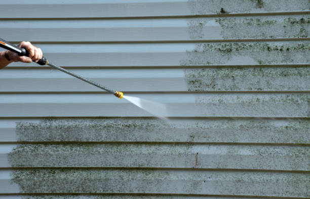 Best Pressure Washing Siding  in La Joya, TX