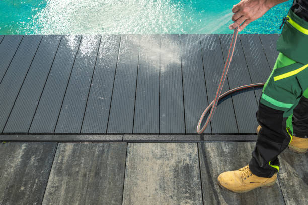 Best Affordable Pressure Washing  in La Joya, TX