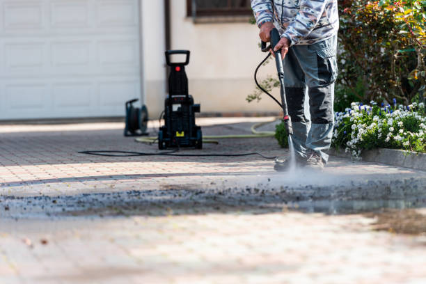 Best Exterior Home Cleaning  in La Joya, TX