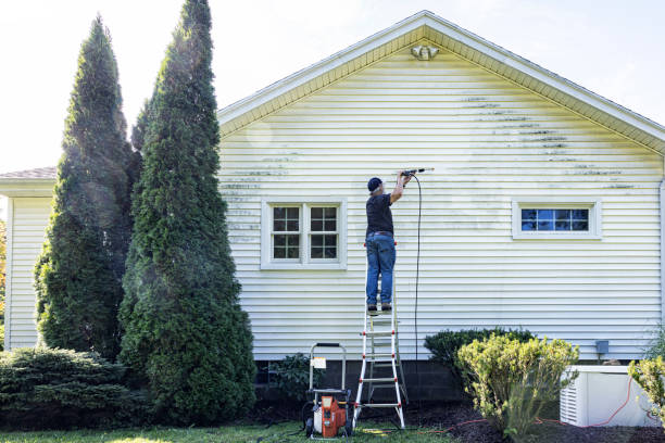 Best Commercial Building Pressure Washing  in La Joya, TX