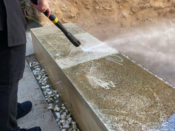 Best Deck Cleaning Services  in La Joya, TX