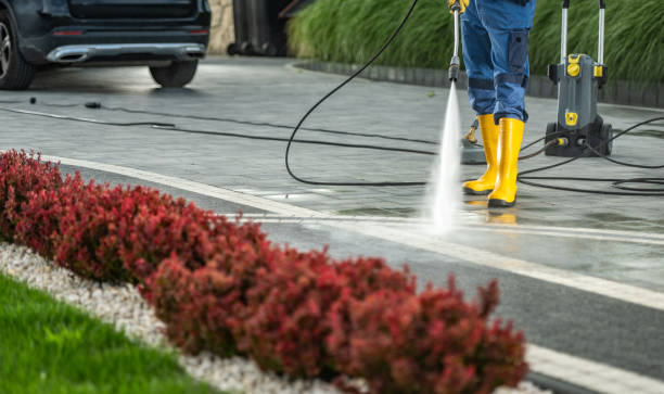 Best Pressure Washing Services Near Me  in La Joya, TX