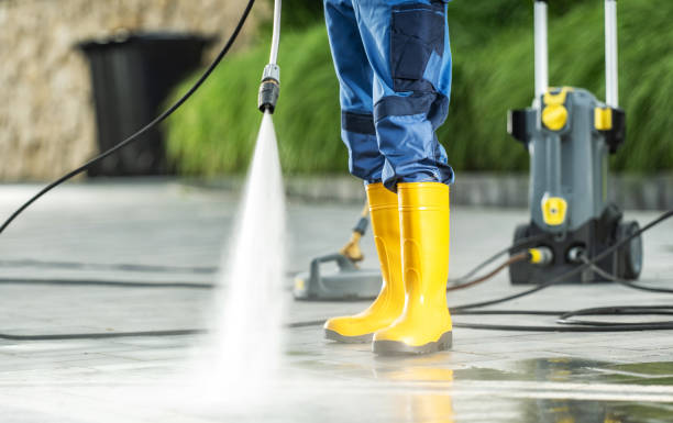 Best Affordable Power Washing  in La Joya, TX