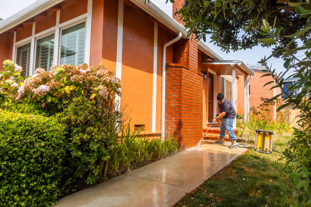 Best Roof Power Washing Services  in La Joya, TX
