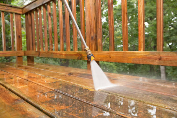 Best Sidewalk Pressure Washing  in La Joya, TX