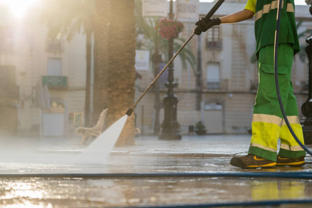 Best Residential Pressure Washing Services  in La Joya, TX