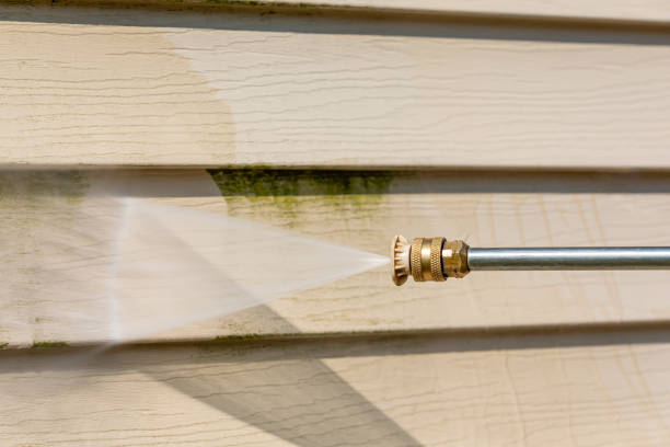Best Power Washing Near Me  in La Joya, TX